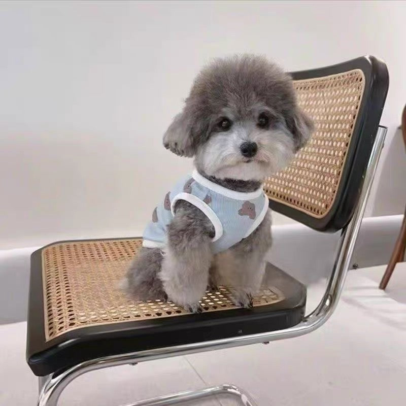 Teddy Bear Summer Vest
