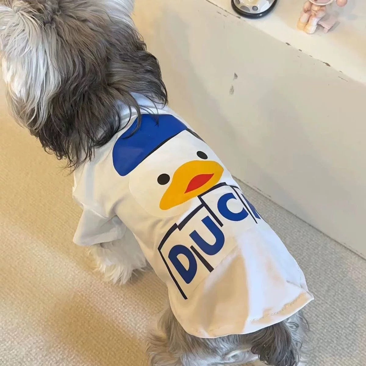 Summer Shirt