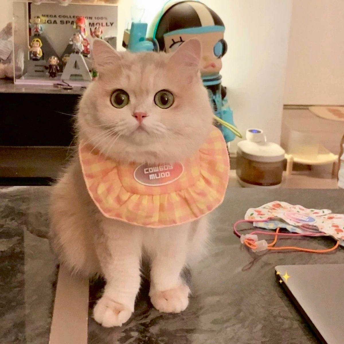 Adjustable Pet Bibs, One Size