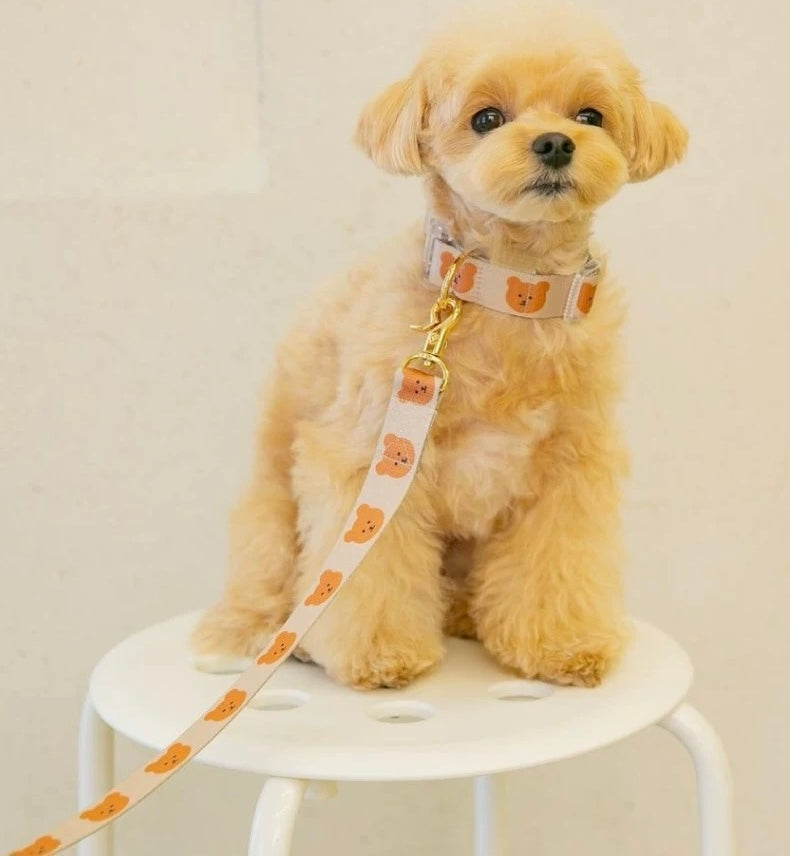 Bear Print Collar & Leash