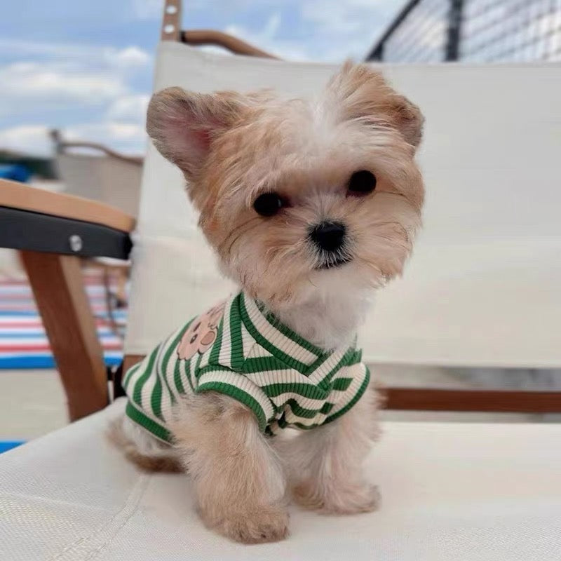 Green Stripe Cartoon Tank