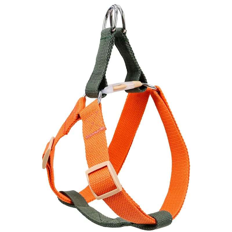 Canvas Leash/Harness