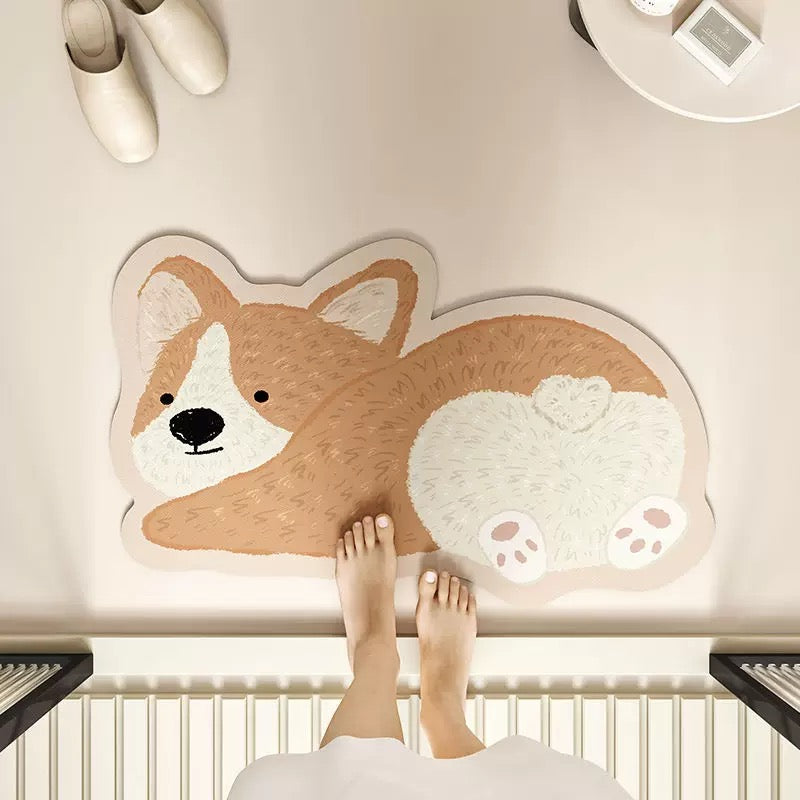 Absorbent Bathroom Mat