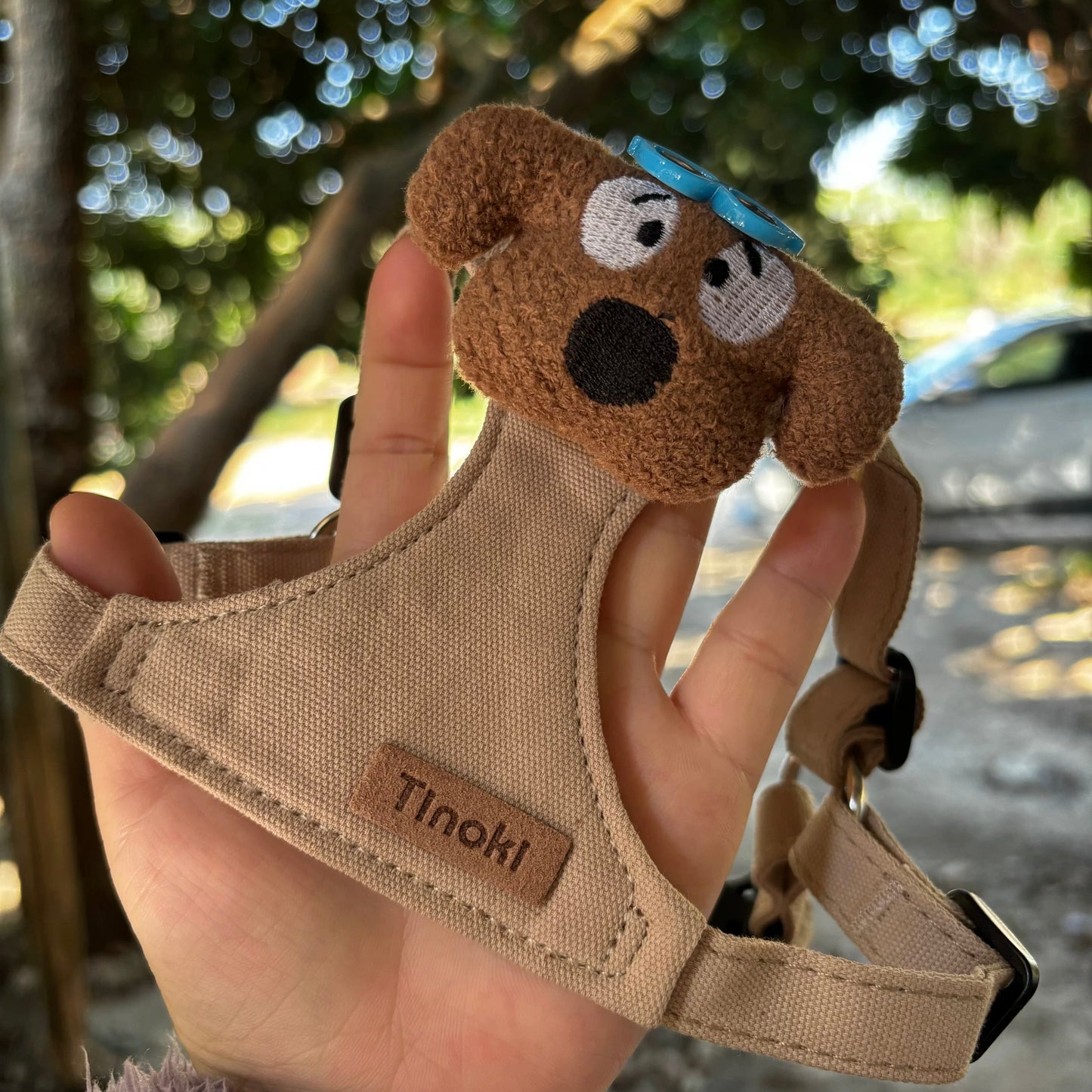 Doggy Harness + Leash Set
