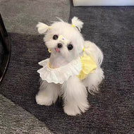 Macaron Princess Style Lace Dress