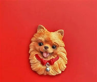 Pet Fridge Magnets