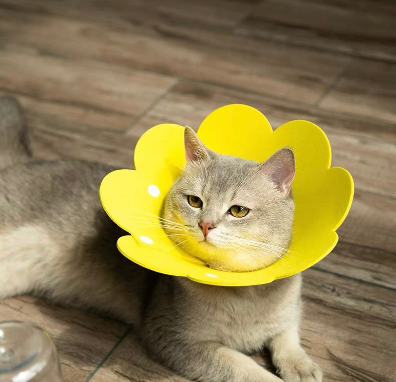 Adjustable Sun Flower Cone