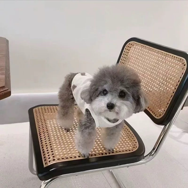 Teddy Bear Summer Vest