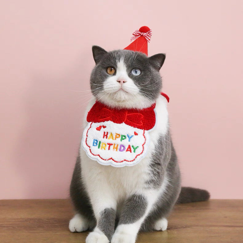 Birthday Bibs