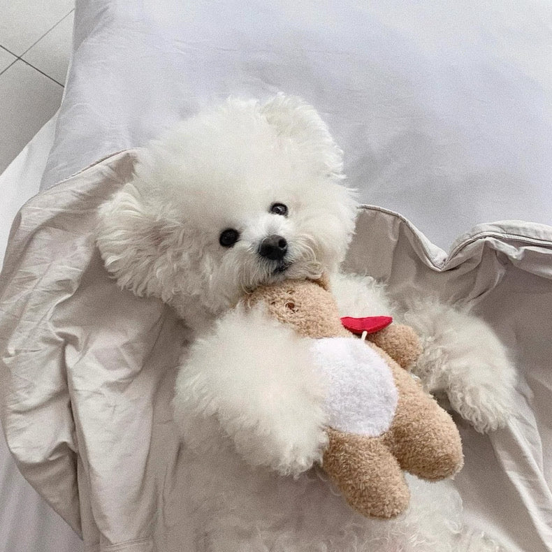 Snuffle Dog Toy