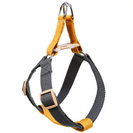 Canvas Leash/Harness
