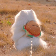 Food Series, Harness + Leash