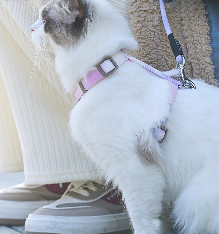 Sunset Harness + Leash Set, Small