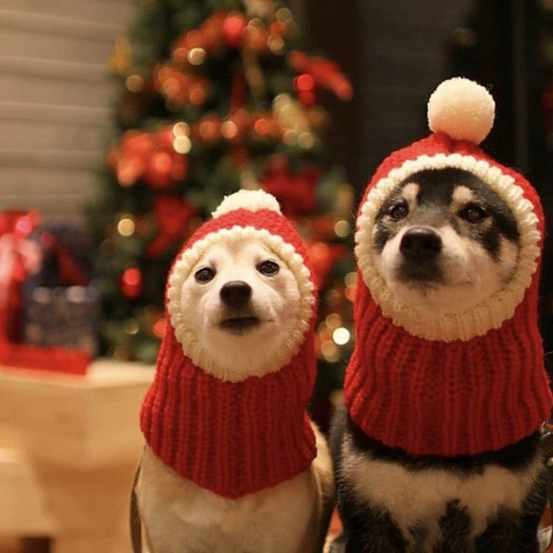 Red Christmas hat for pets