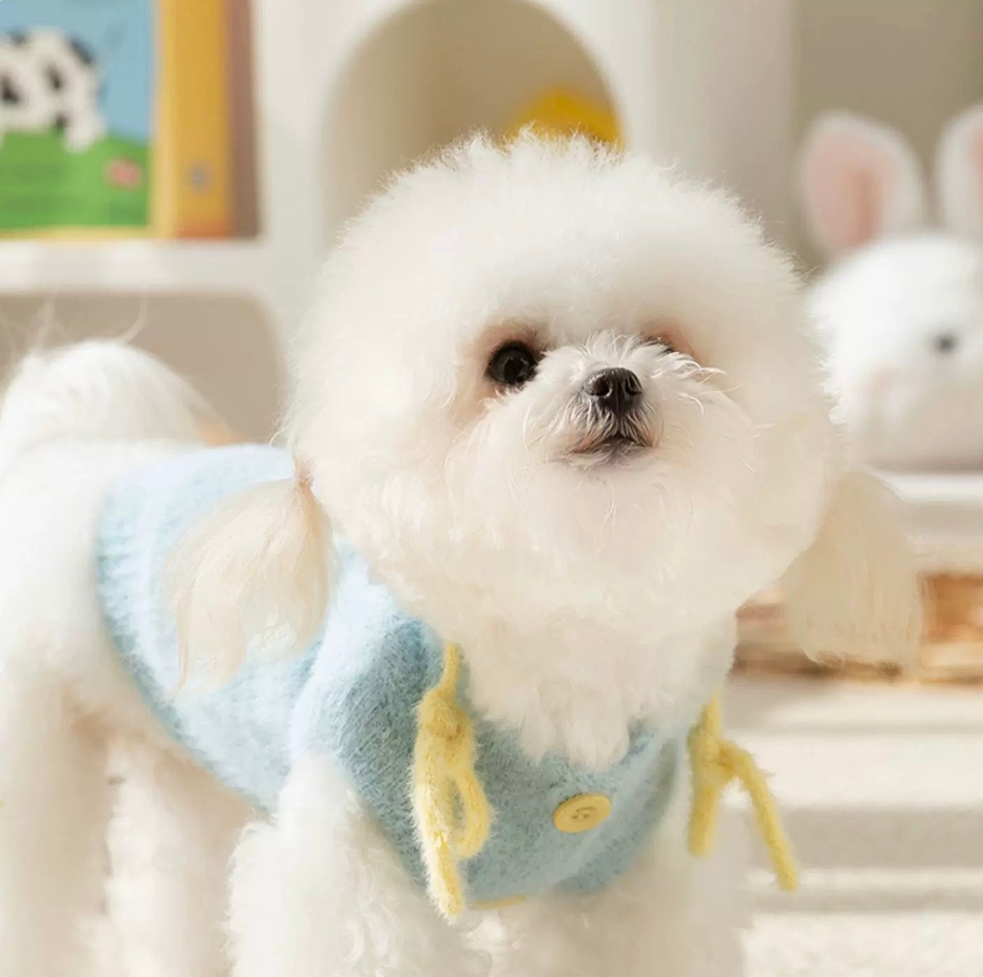 Winter Fleece