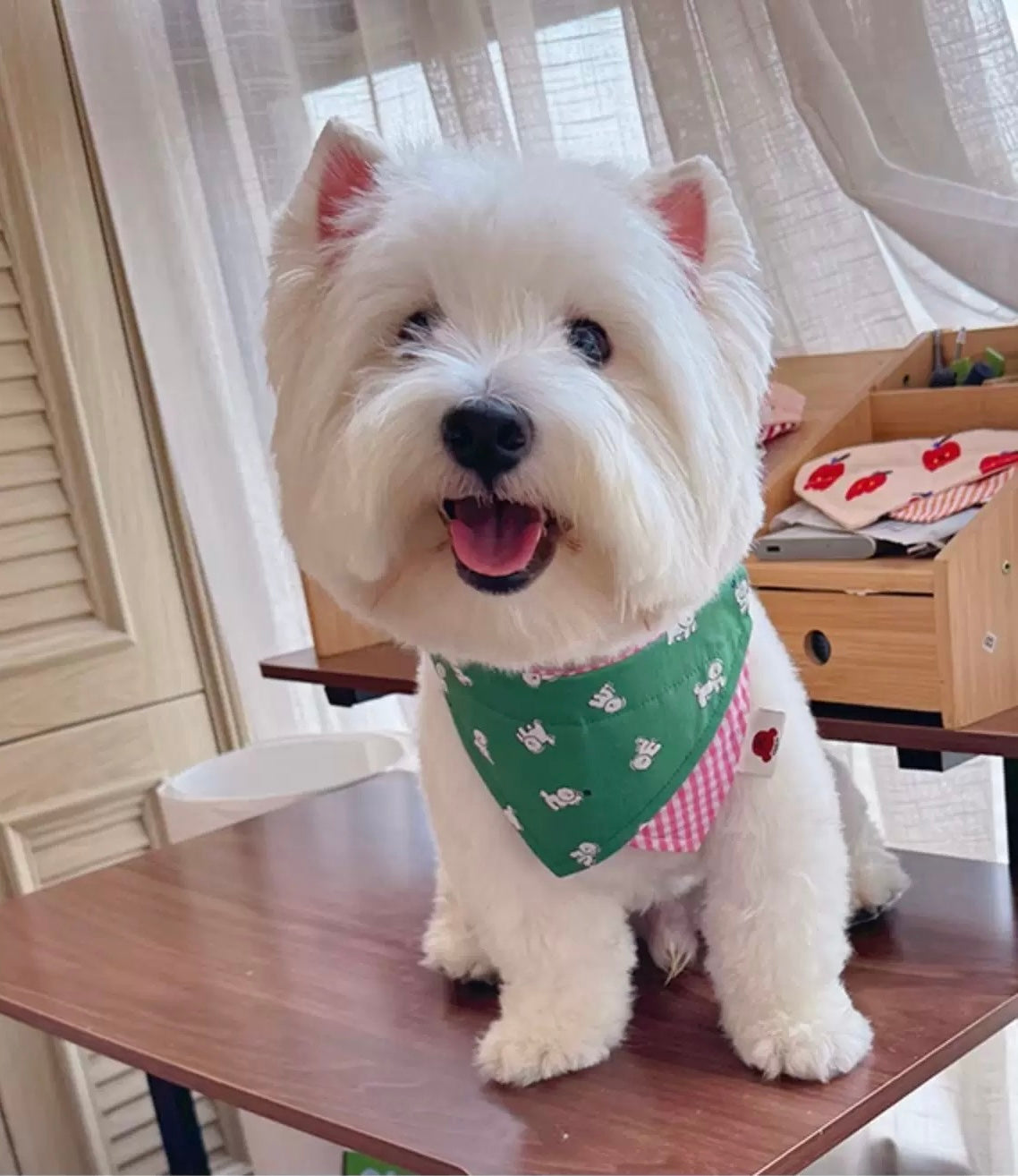 Chichipaws Pet Bibs