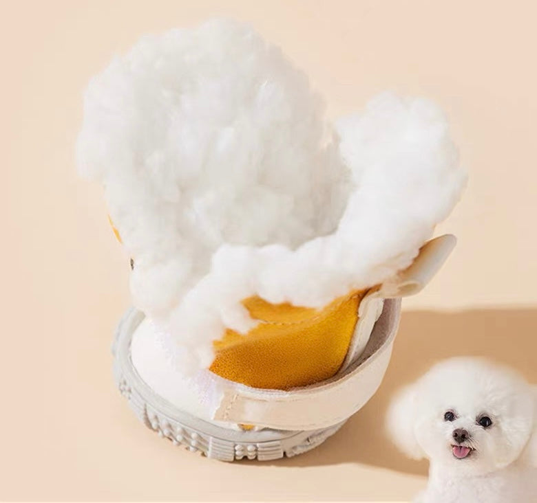 Pets Outdoor Shoes & Socks