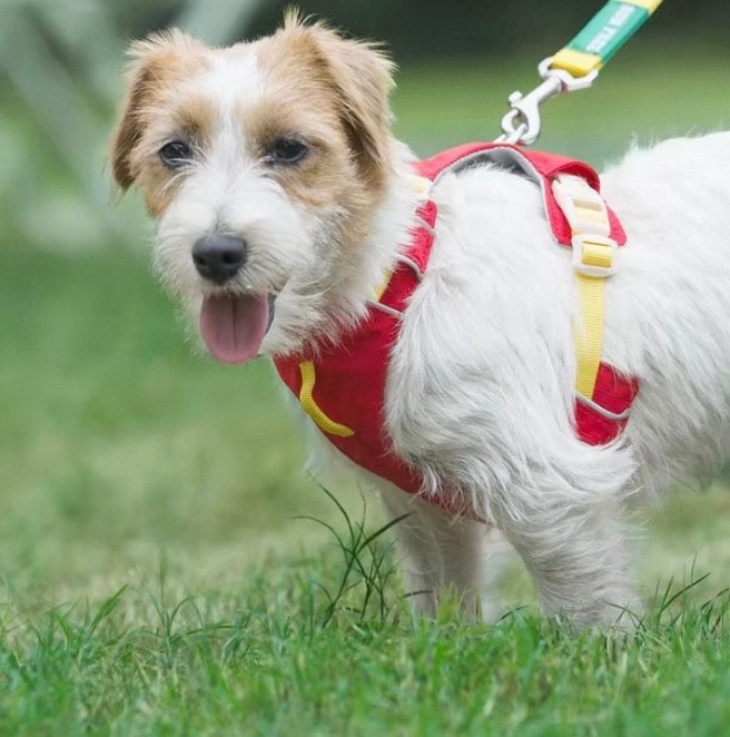 Lightweight Harness with Tracking Pouch - Outdoor pets gear