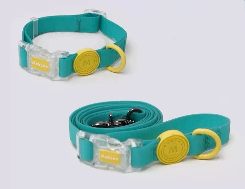 Waterproof collar and leash