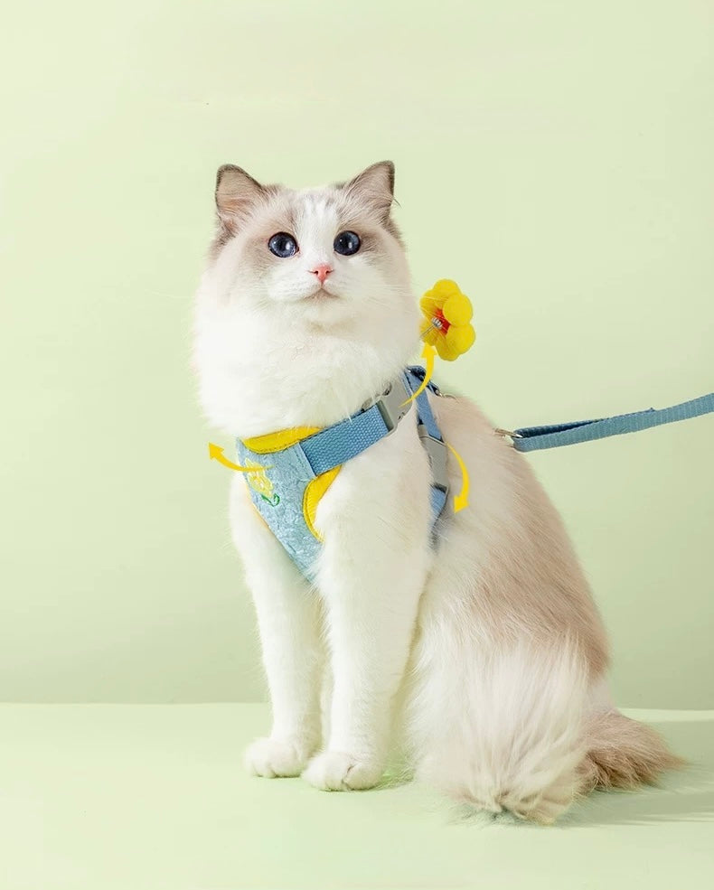 Rainbow Harness + Leash