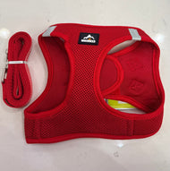 Dog and Cat Harness Set