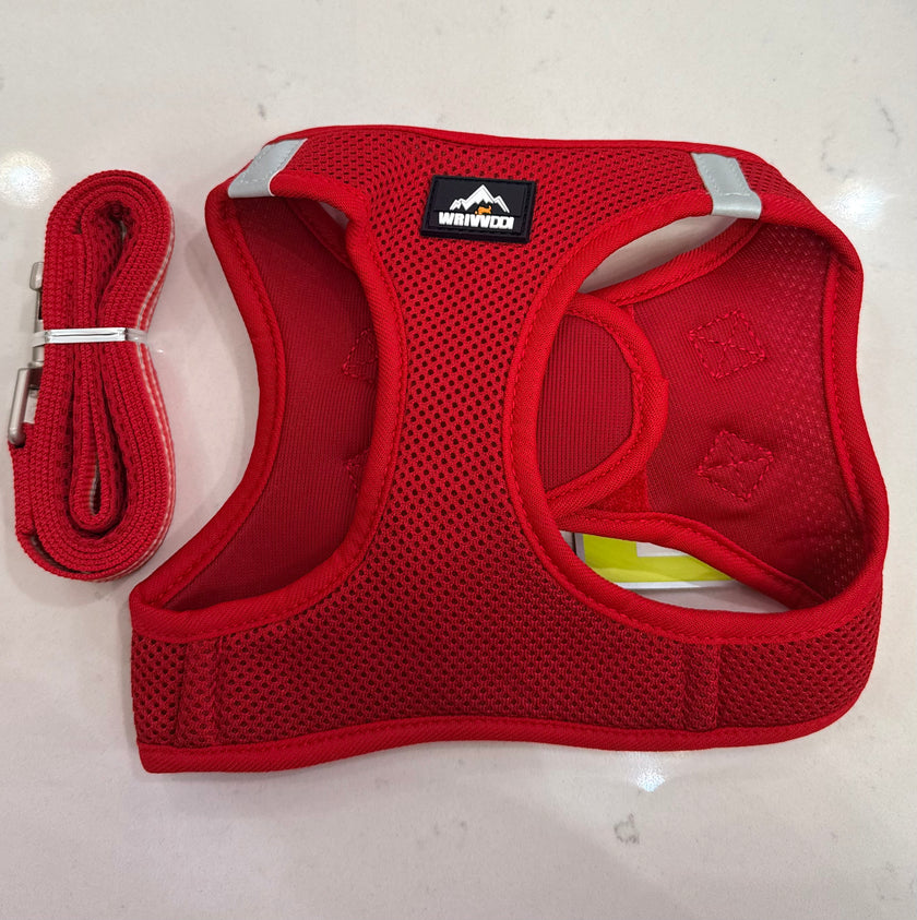 Dog and Cat Harness Set