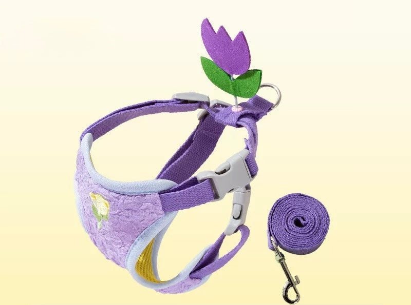 Rainbow Harness + Leash