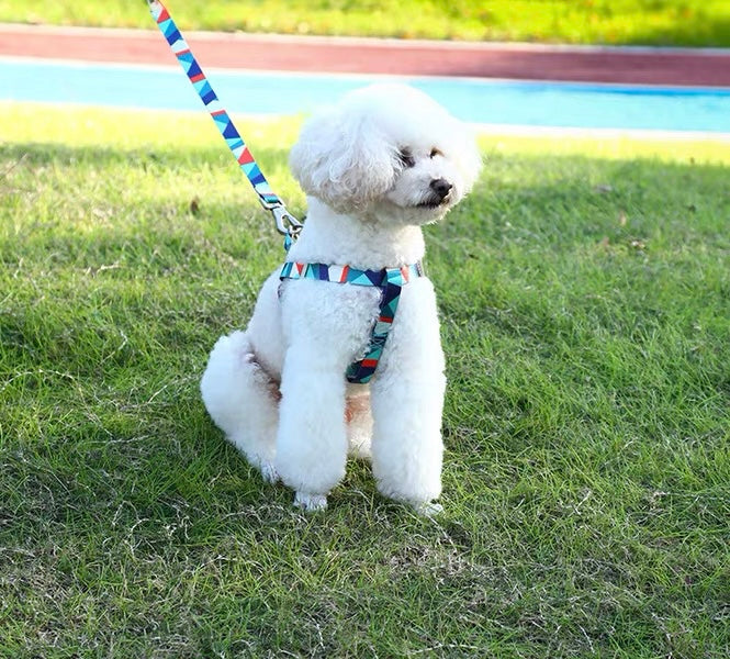 Kafuli Harness + Leash Series