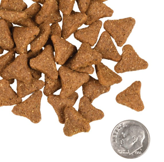 Fromm Gold Ancient Grains Adult Dry Dog Food – Supports Digestion, Lean Muscle & Complete Nutrition – 5 lbs Bag