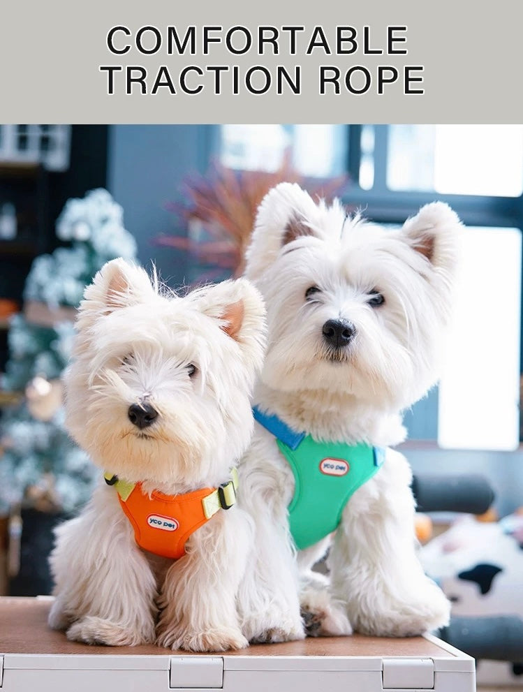 Harness + 4.9 Ft Leash Set