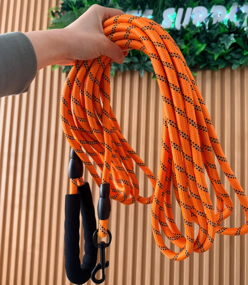 30 feet Check Cord Leash with Handle