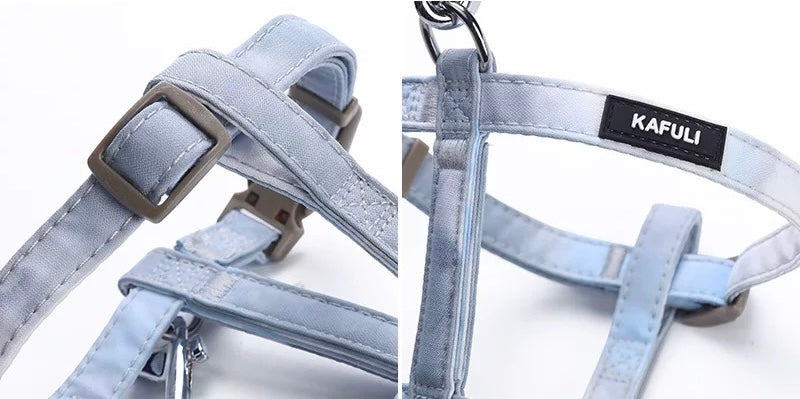 Cat H Style Harness Leash Set Anti-escape