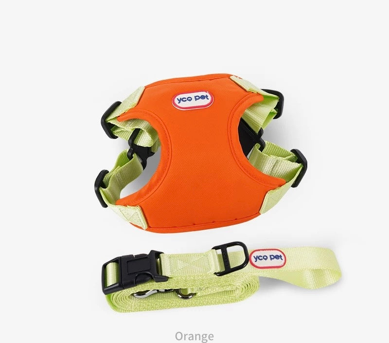 Harness + 4.9 Ft Leash Set