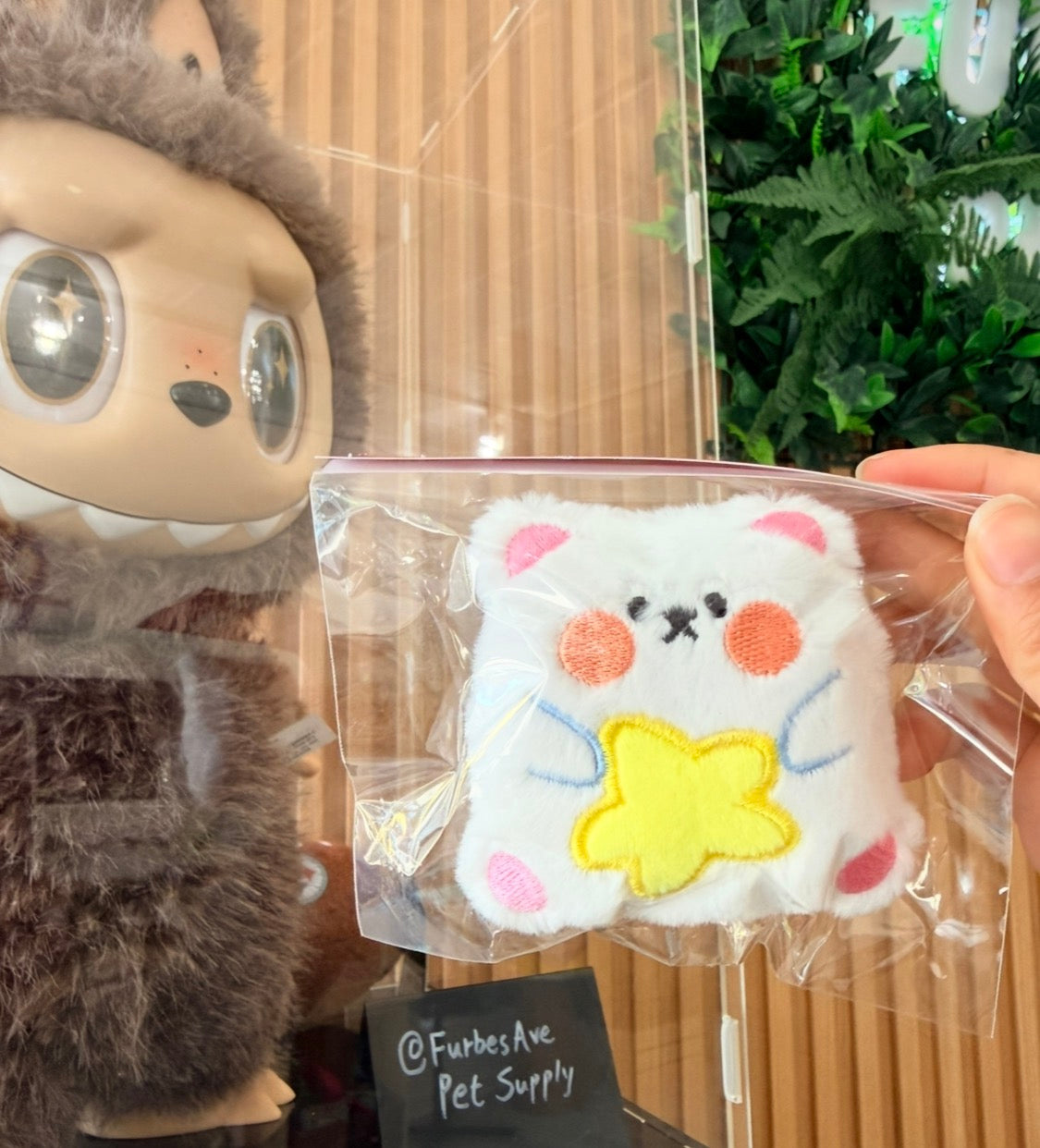 Bear Squeaky Dog Toy