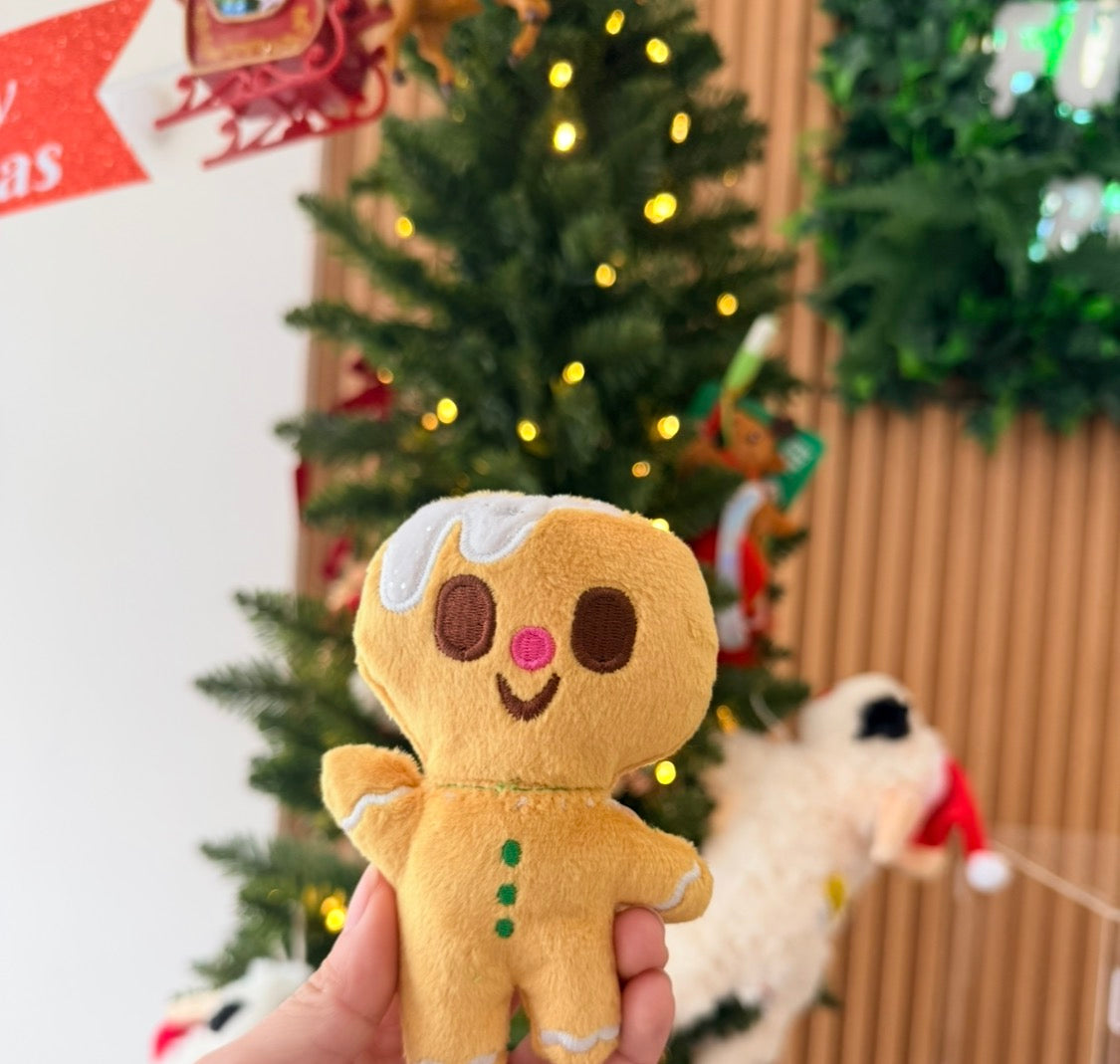 Squeaky Pet Toys
