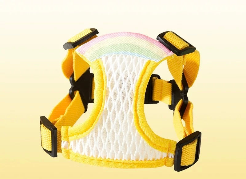 Rainbow Harness + Leash