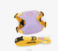 Harness + 4.9 Ft Leash Set