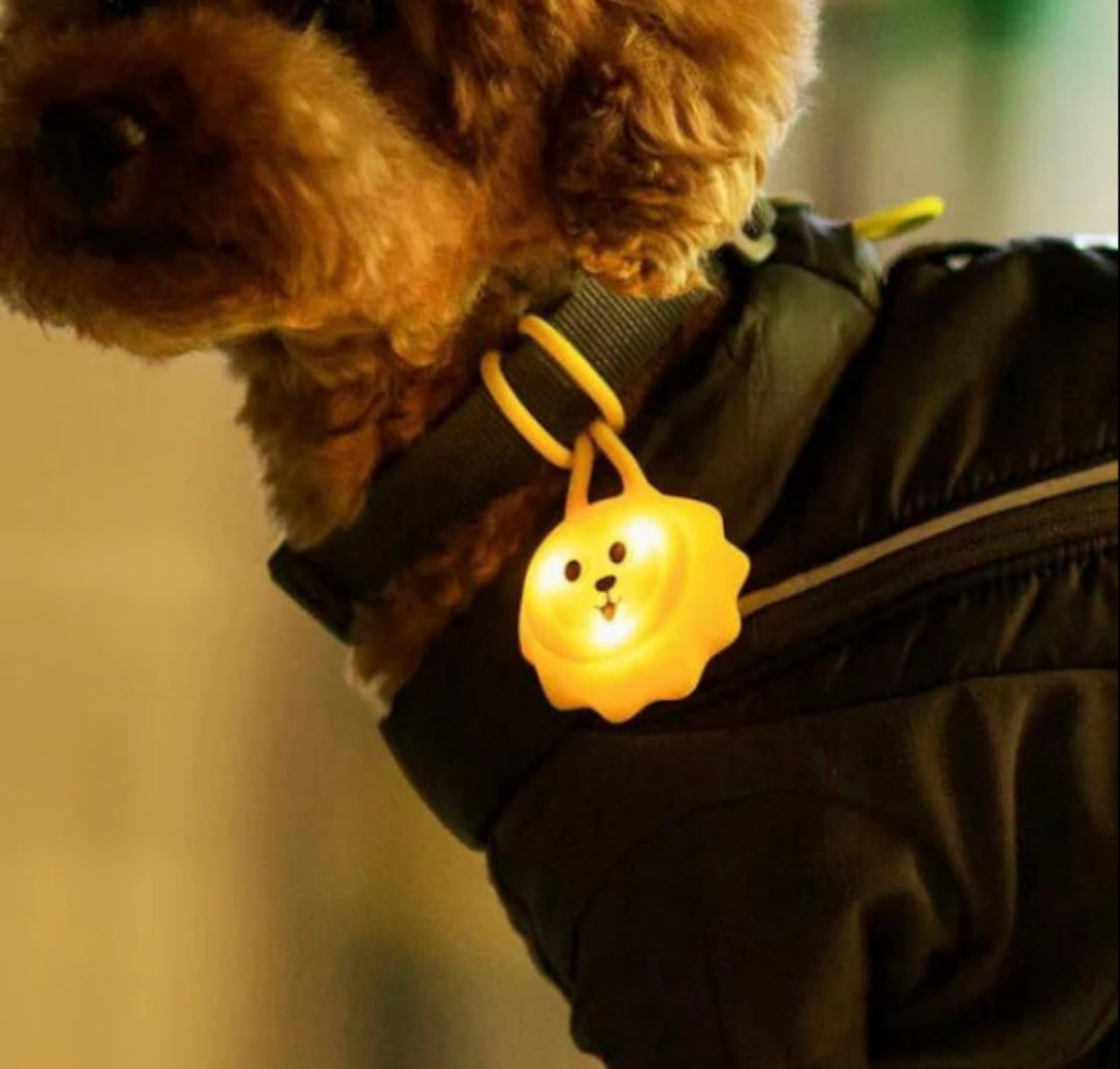 Walking Light for Dogs