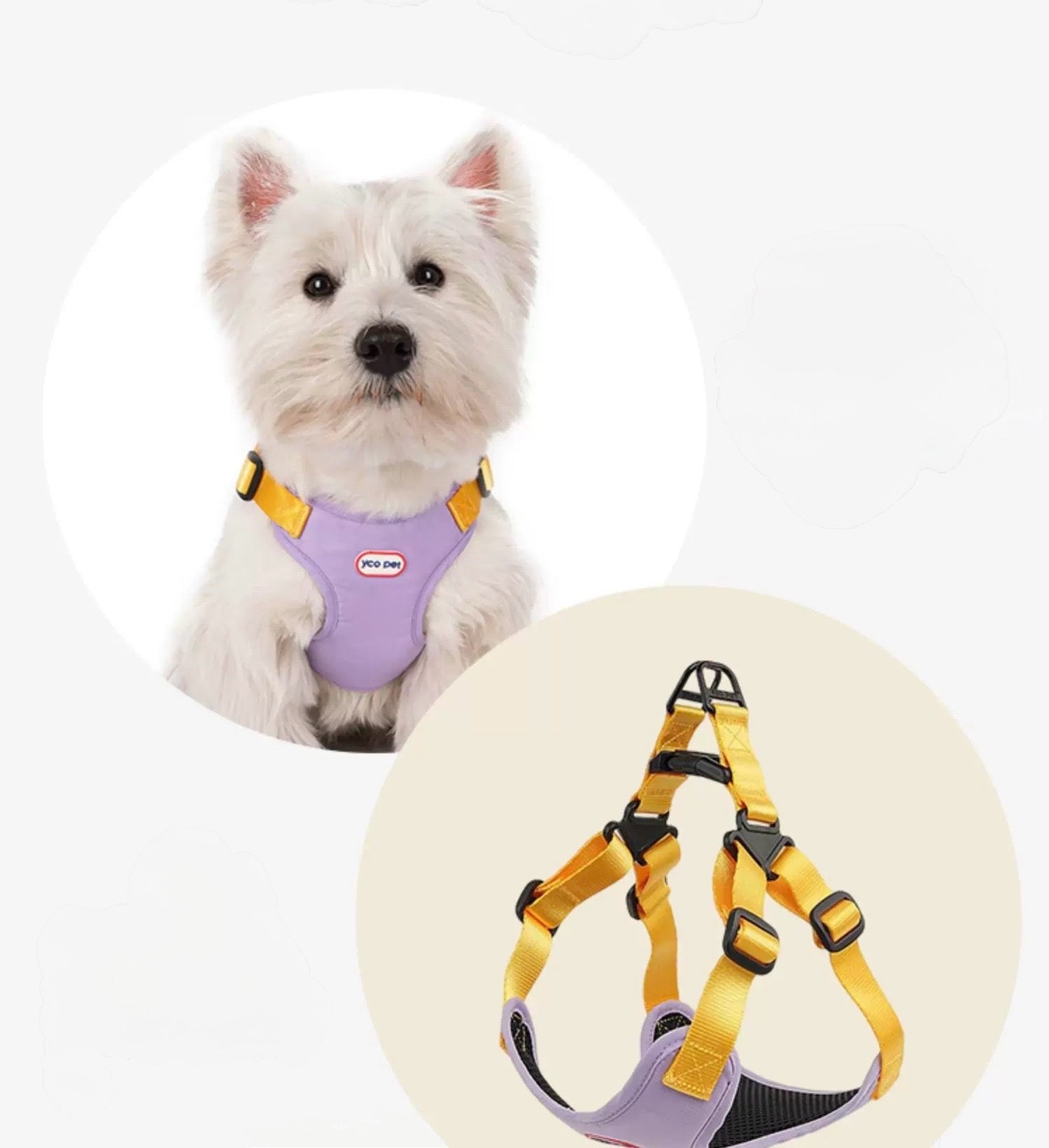 Harness + 4.9 Ft Leash Set