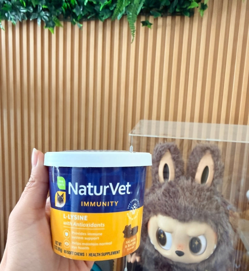 NaturVet Cat Immune L-Lysine Chew with Antioxidants - Salmon and Bacon Flavor - 60 Count