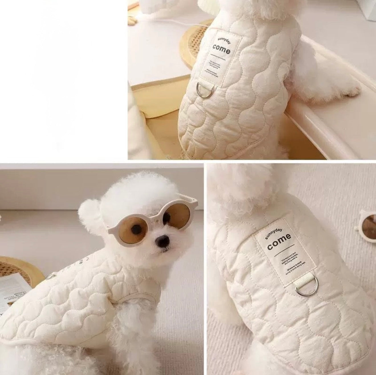 Vest