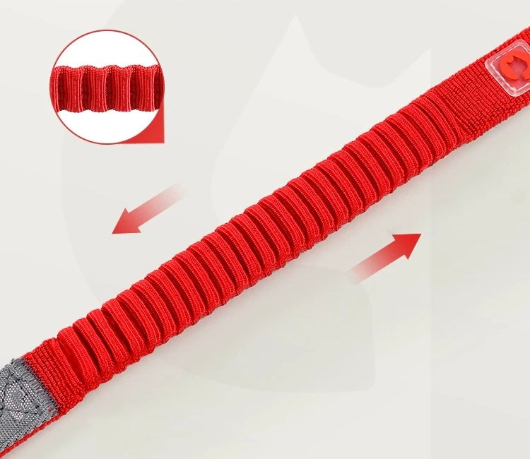 Car ride leash for pet 35-45inch