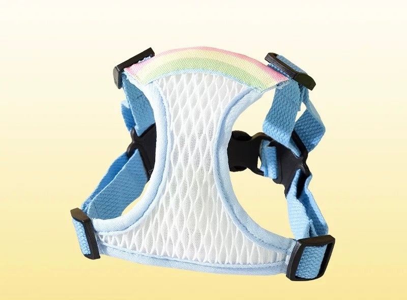 Rainbow Harness + Leash