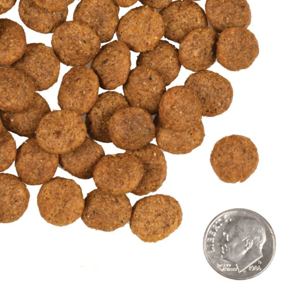 Fromm Gold Coast Grain Free Weight Management Dry Dog Food - Supports Healthy Weight, Digestion & Lean Muscle - 4 lbs Bag