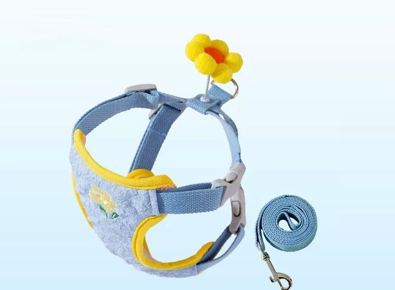 Rainbow Harness + Leash