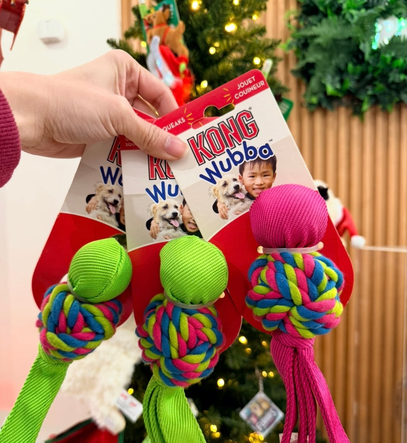 Kong Wubba Weave Dog Toy Small