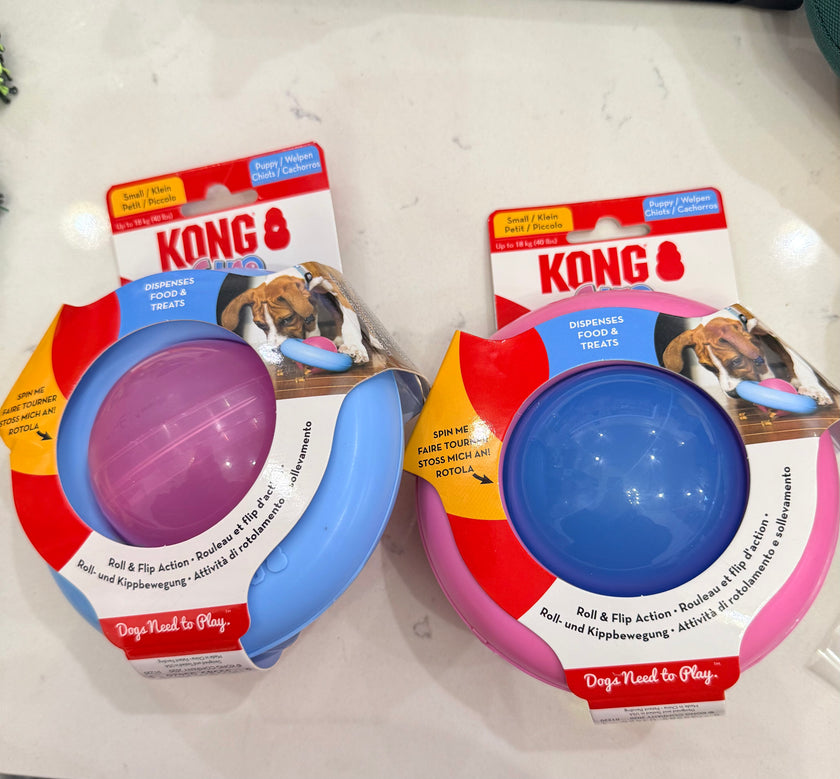 Kong Gyro Small Dog Toy 1ct