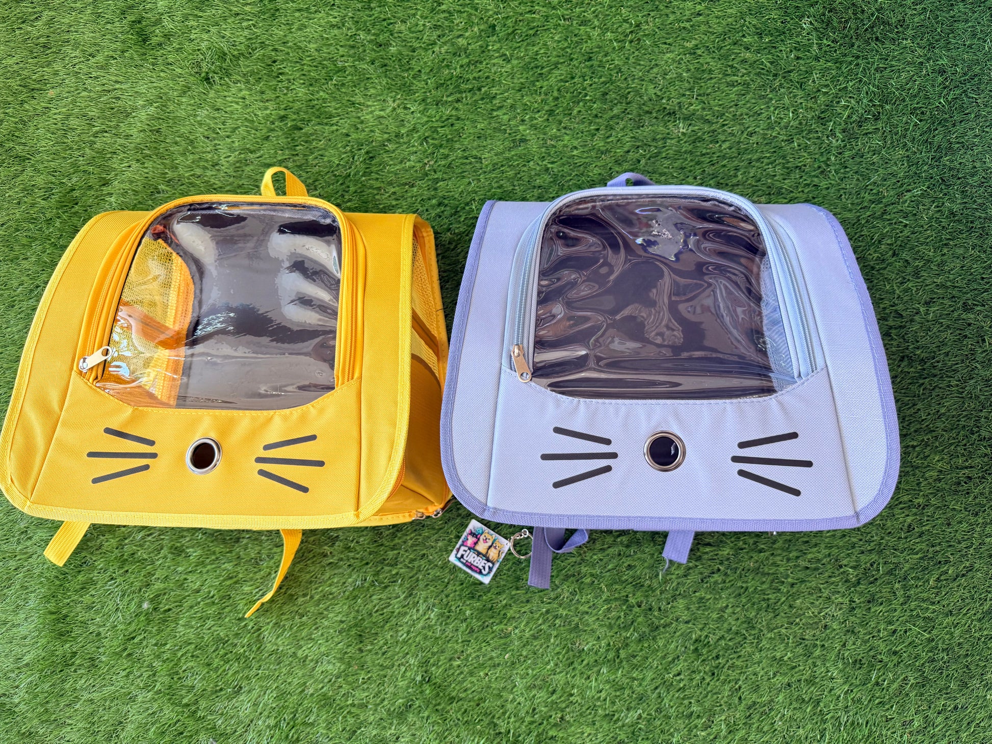 Pet Backpack Carrier for pet under 11 pounds