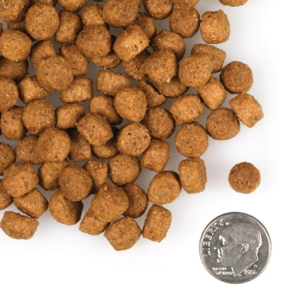Fromm Gold Large Breed Puppy Dry Dog Food - Supports Growth, Digestion & Lean Muscle - 5 lbs Bag