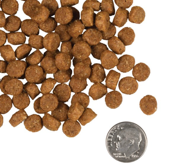 Fromm Gold Puppy Dry Dog Food - Supports Growth, Digestion & Lean Muscle - 5 lbs Bag